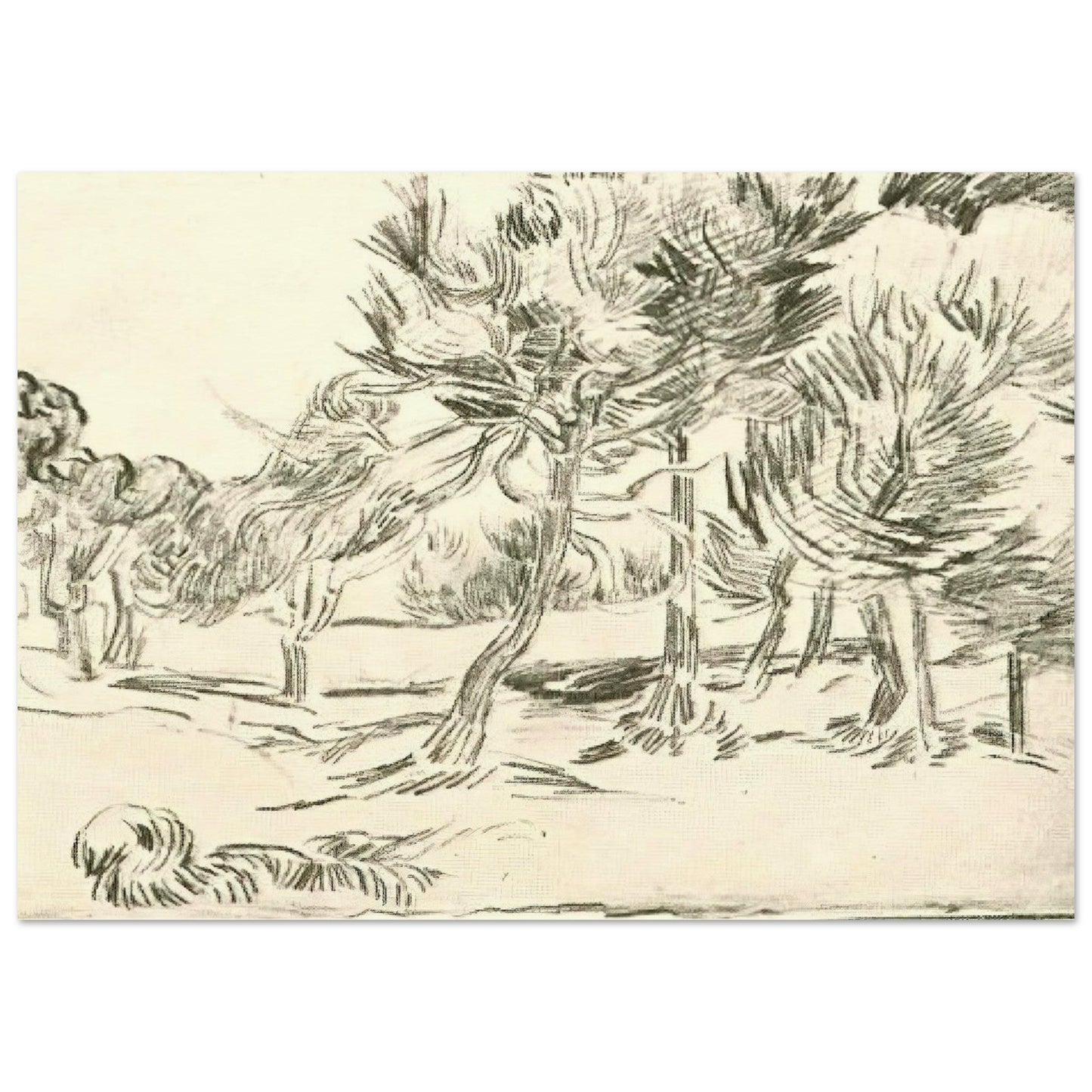 1fc3c62f-7bbe-4083-9564-b8b6a9821f7e