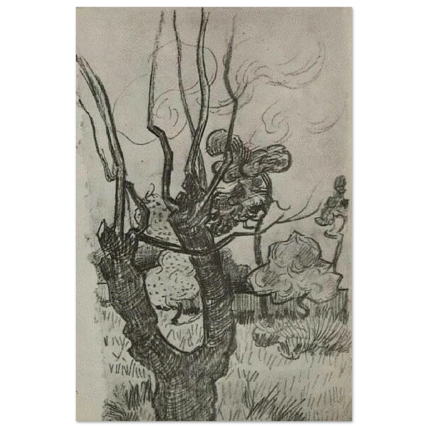 A Bare Treetop in the Garden of the Asylum by Vincent van Gogh - Post-Impressionism Art Print Wall Art